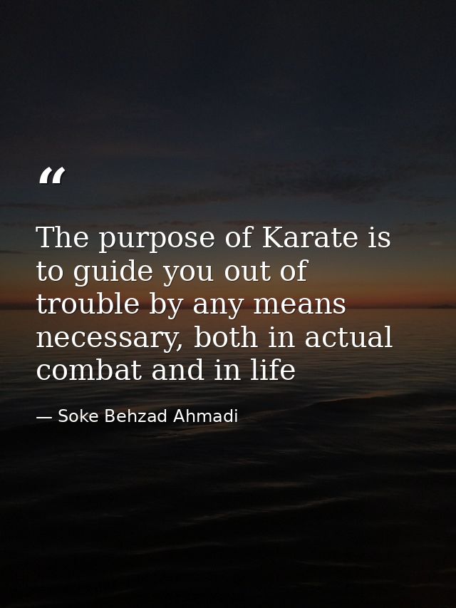 The purpose of Karate is to guide you out of trouble by any means necessary, both in actual combat and in life — Soke Behzad Ahmadi