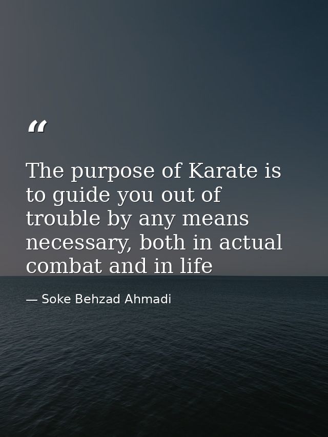 The purpose of Karate is to guide you out of trouble by any means necessary, both in actual combat and in life — Soke Behzad Ahmadi