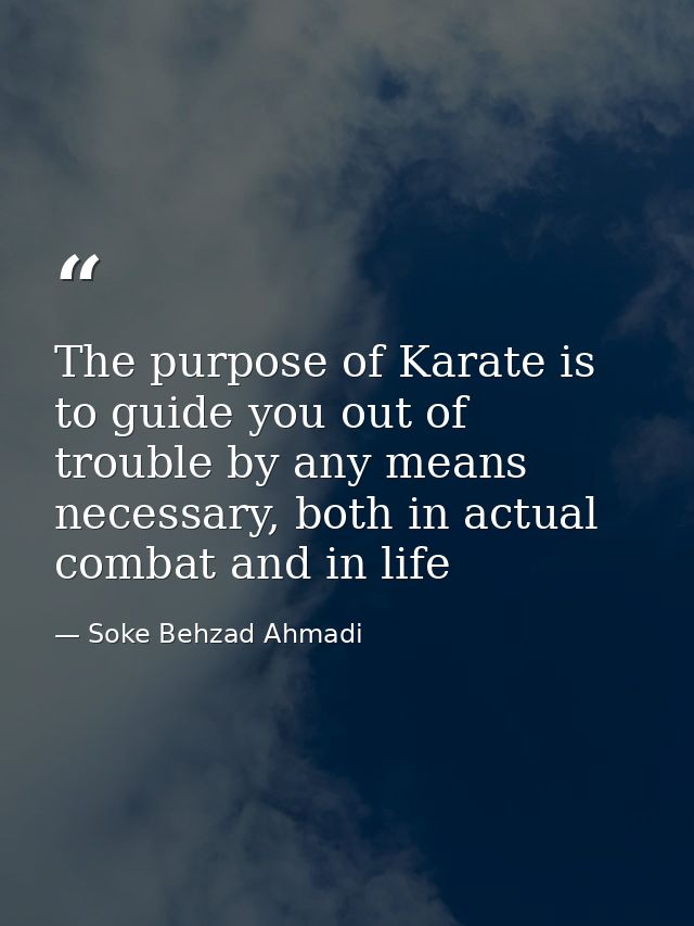 The purpose of Karate is to guide you out of trouble by any means necessary, both in actual combat and in life — Soke Behzad Ahmadi