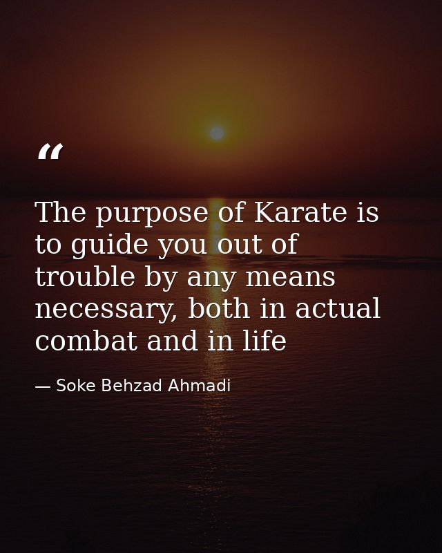 The purpose of Karate is to guide you out of trouble by any means necessary, both in actual combat and in life — Soke Behzad Ahmadi