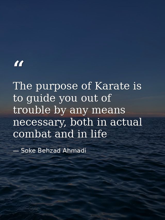 The purpose of Karate is to guide you out of trouble by any means necessary, both in actual combat and in life — Soke Behzad Ahmadi