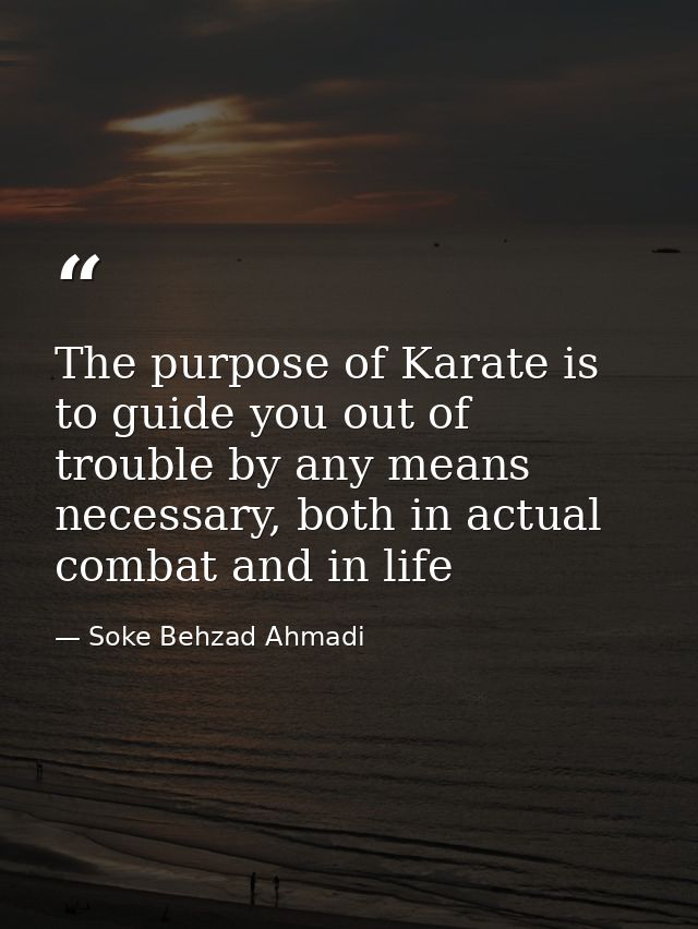 The purpose of Karate is to guide you out of trouble by any means necessary, both in actual combat and in life — Soke Behzad Ahmadi