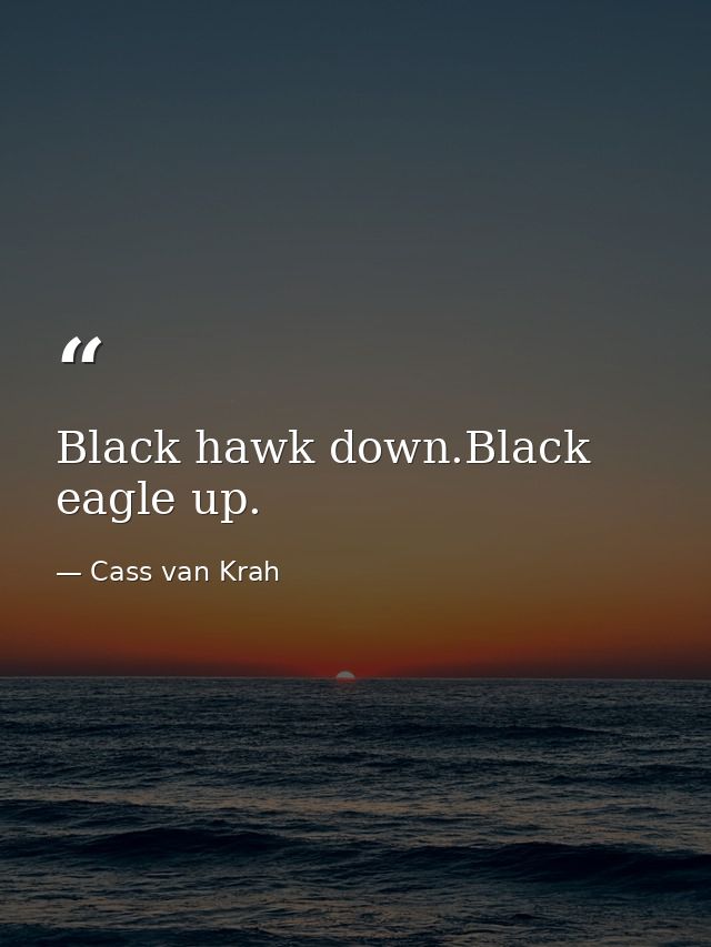 Black hawk down.Black eagle up. — Cass van Krah