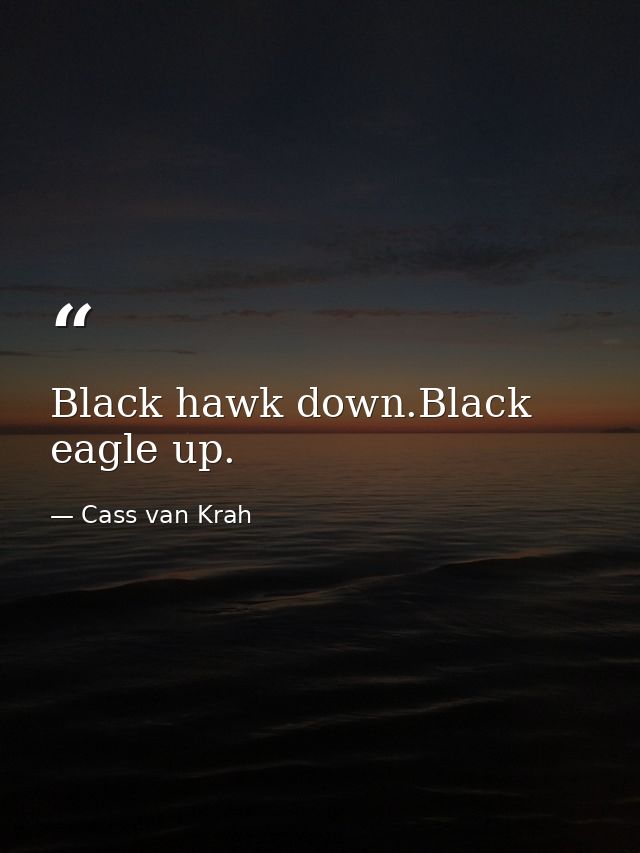 Black hawk down.Black eagle up. — Cass van Krah