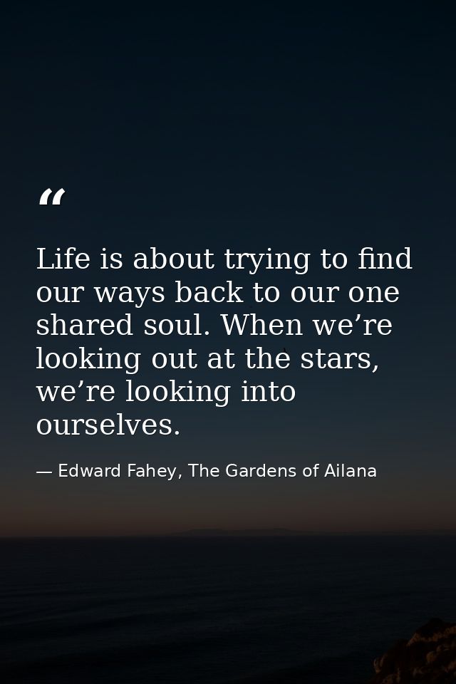 Life is about trying to find our ways back to our one shared soul. When we’re looking out at the stars, we’re looking in — Edward Fahey, The Gardens of Ailana