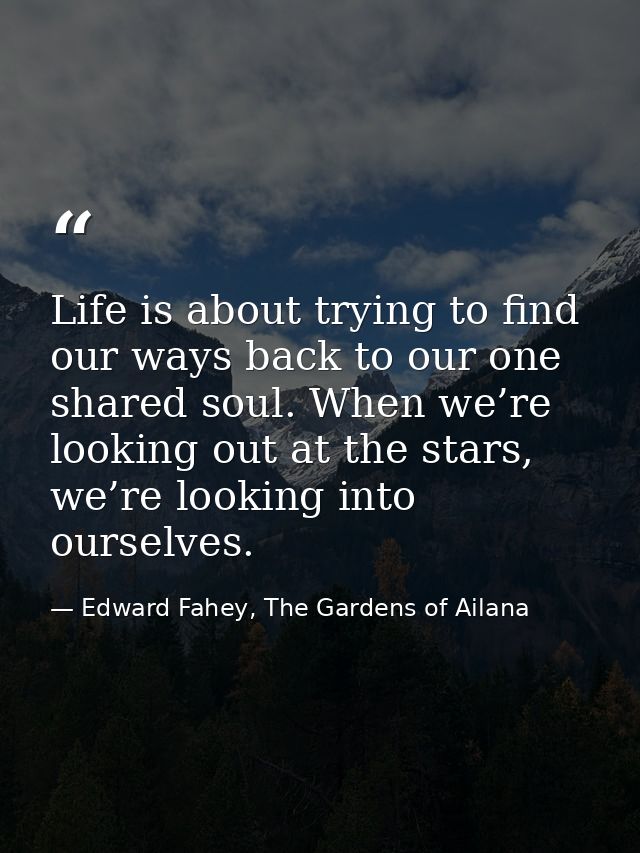 Life is about trying to find our ways back to our one shared soul. When we’re looking out at the stars, we’re looking in — Edward Fahey, The Gardens of Ailana