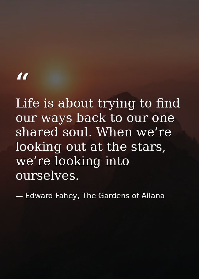 Life is about trying to find our ways back to our one shared soul. When we’re looking out at the stars, we’re looking in — Edward Fahey, The Gardens of Ailana