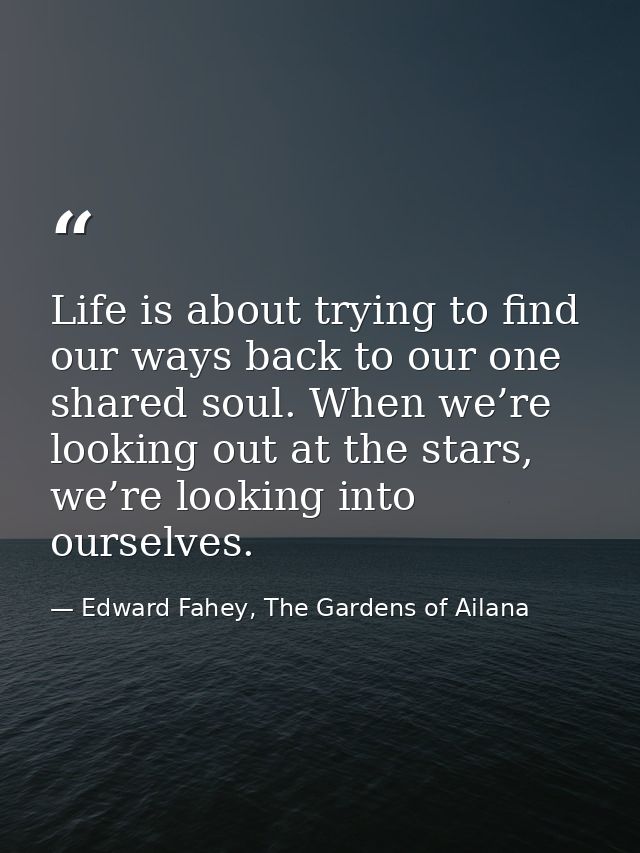 Life is about trying to find our ways back to our one shared soul. When we’re looking out at the stars, we’re looking in — Edward Fahey, The Gardens of Ailana