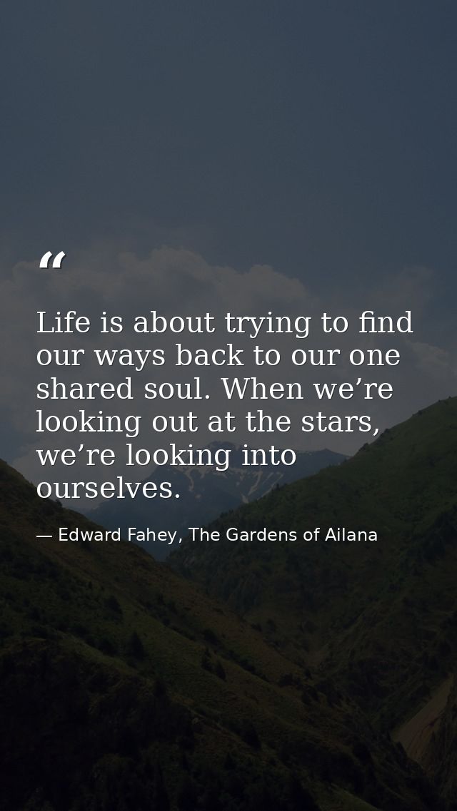 Life is about trying to find our ways back to our one shared soul. When we’re looking out at the stars, we’re looking in — Edward Fahey, The Gardens of Ailana