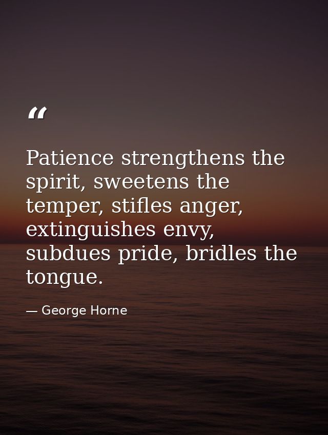 Patience strengthens the spirit, sweetens the temper, stifles anger, extinguishes envy, subdues pride, bridles the tongu — George Horne