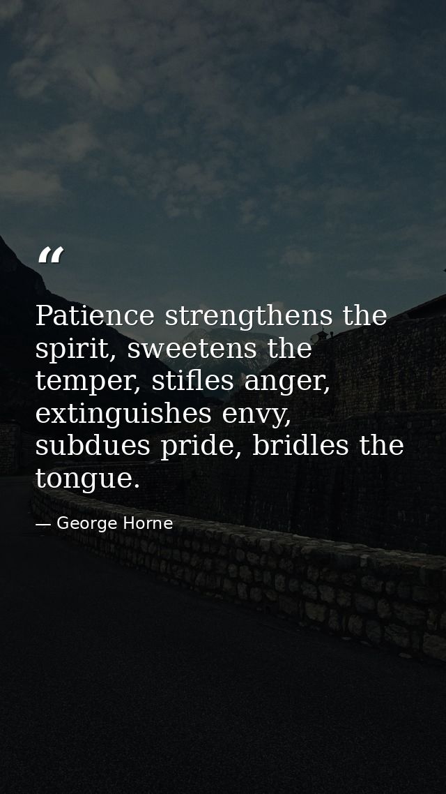 Patience strengthens the spirit, sweetens the temper, stifles anger, extinguishes envy, subdues pride, bridles the tongu — George Horne