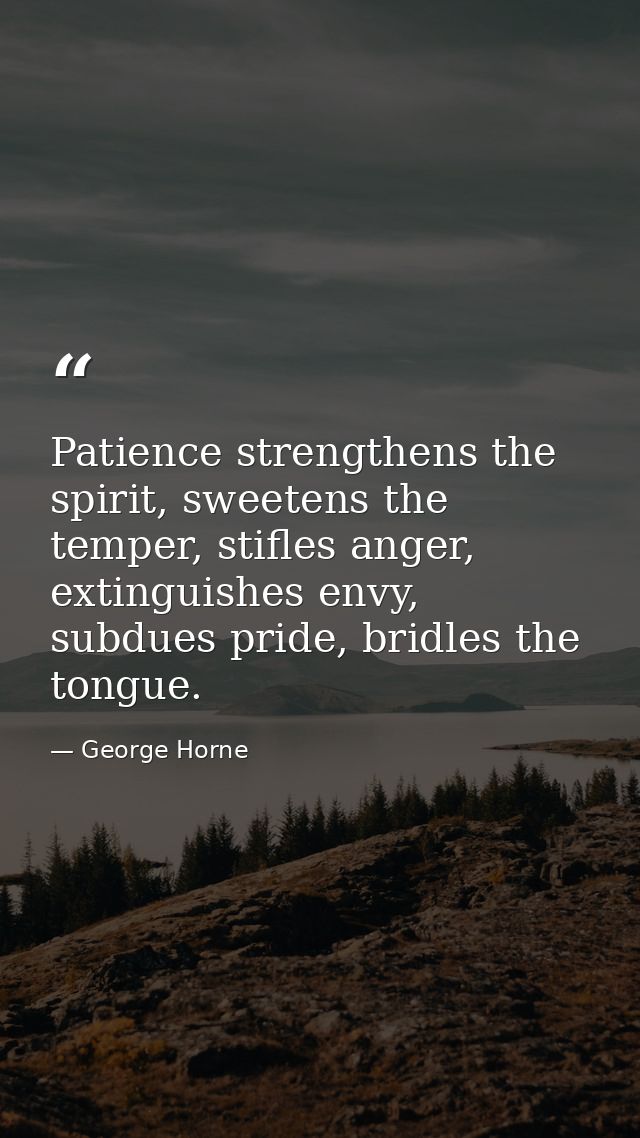 Patience strengthens the spirit, sweetens the temper, stifles anger, extinguishes envy, subdues pride, bridles the tongu — George Horne