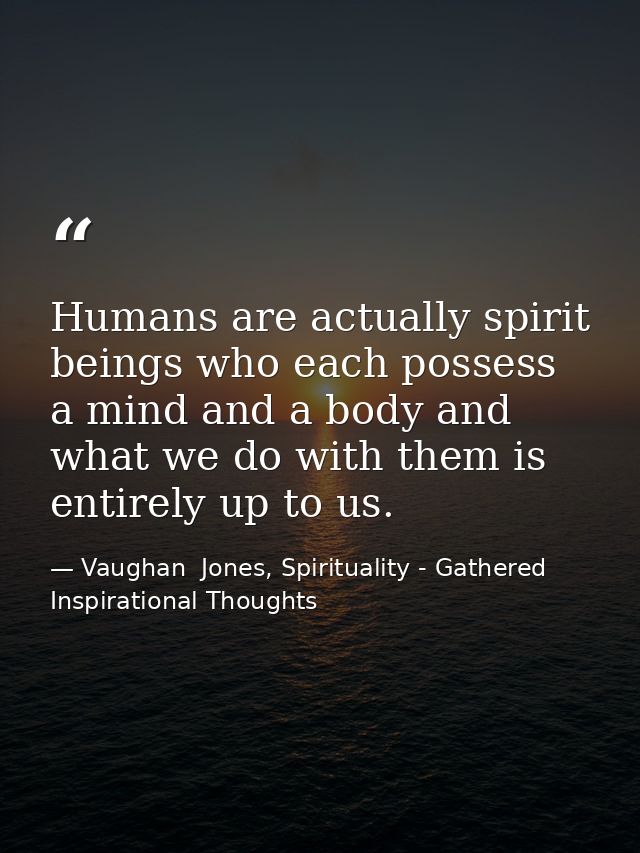 Humans are actually spirit beings who each possess a mind and a body and what we do with them is entirely up to us. — Vaughan  Jones, Spirituality - Gathered Inspirational Thoughts