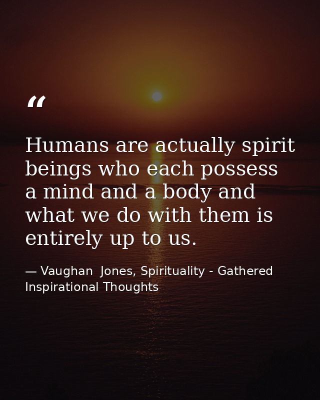 Humans are actually spirit beings who each possess a mind and a body and what we do with them is entirely up to us. — Vaughan  Jones, Spirituality - Gathered Inspirational Thoughts