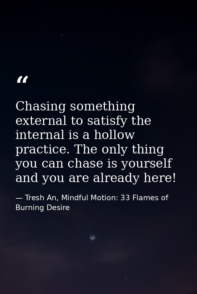 Chasing something external to satisfy the internal is a hollow practice. The only thing you can chase is yourself and yo — Tresh An, Mindful Motion: 33 Flames of Burning Desire