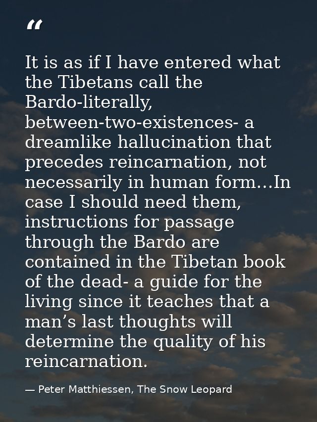It is as if I have entered what the Tibetans call the Bardo-literally, between-two-existences- a dreamlike hallucination — Peter Matthiessen, The Snow Leopard
