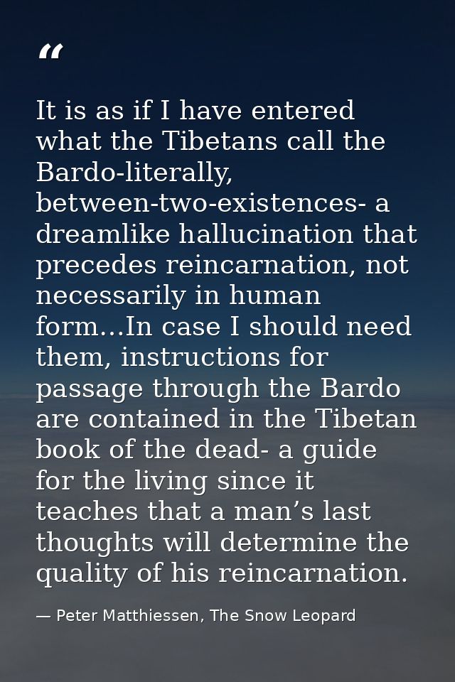 It is as if I have entered what the Tibetans call the Bardo-literally, between-two-existences- a dreamlike hallucination — Peter Matthiessen, The Snow Leopard