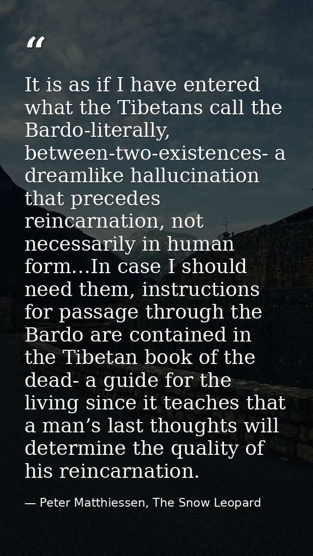 It is as if I have entered what the Tibetans call the Bardo-literally, between-two-existences- a dreamlike hallucination — Peter Matthiessen, The Snow Leopard