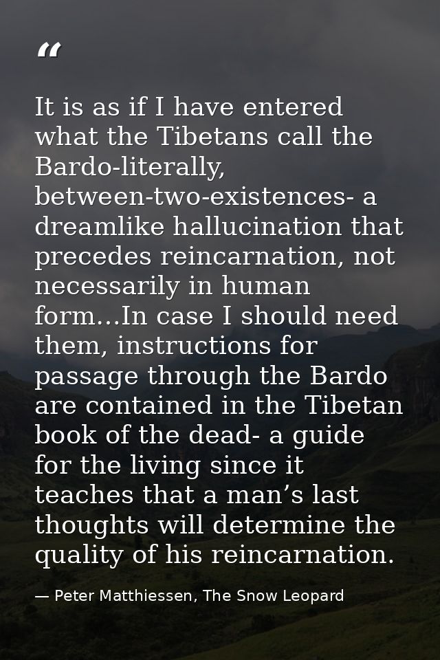 It is as if I have entered what the Tibetans call the Bardo-literally, between-two-existences- a dreamlike hallucination — Peter Matthiessen, The Snow Leopard
