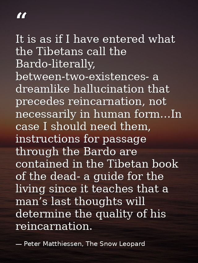 It is as if I have entered what the Tibetans call the Bardo-literally, between-two-existences- a dreamlike hallucination — Peter Matthiessen, The Snow Leopard