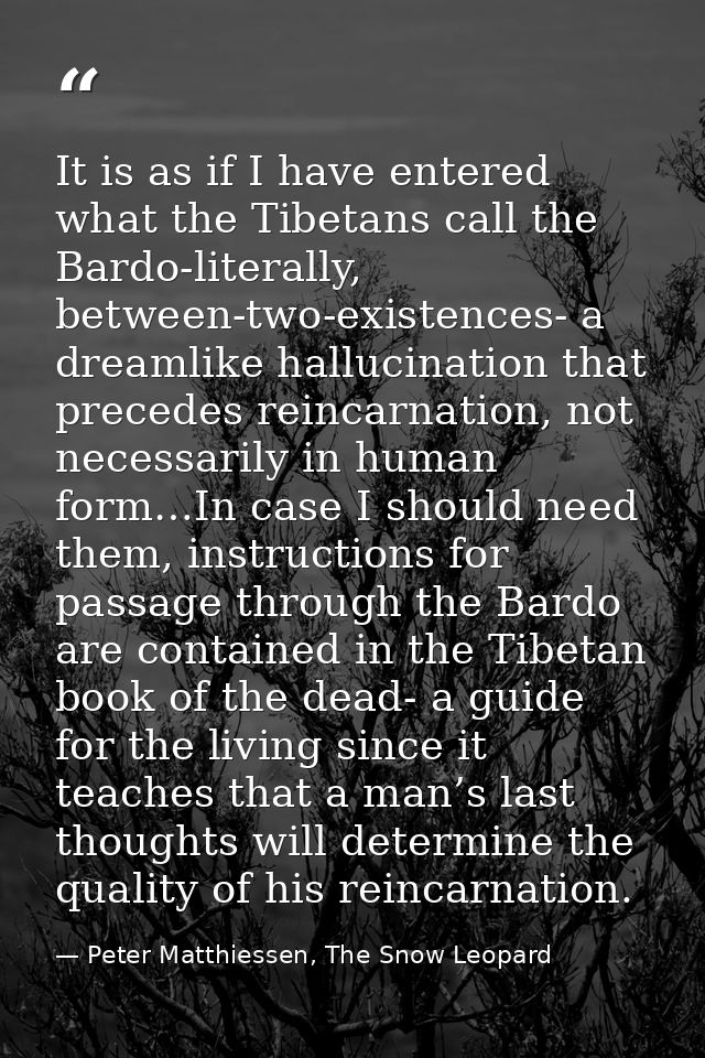 It is as if I have entered what the Tibetans call the Bardo-literally, between-two-existences- a dreamlike hallucination — Peter Matthiessen, The Snow Leopard