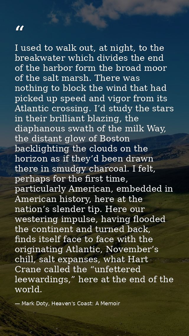 I used to walk out, at night, to the breakwater which divides the end of the harbor form the broad moor of the salt mars — Mark Doty, Heaven's Coast: A Memoir