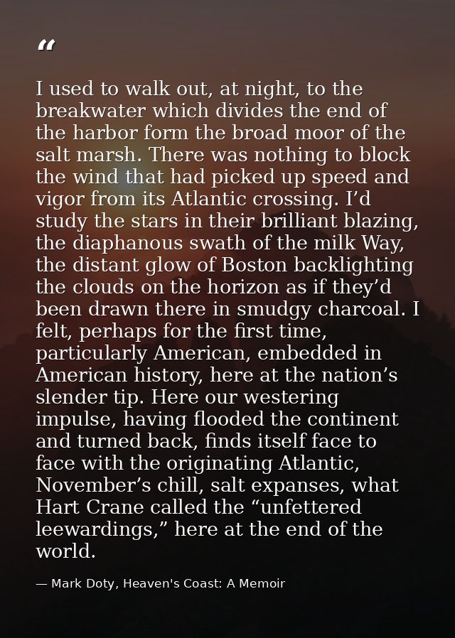 I used to walk out, at night, to the breakwater which divides the end of the harbor form the broad moor of the salt mars — Mark Doty, Heaven's Coast: A Memoir