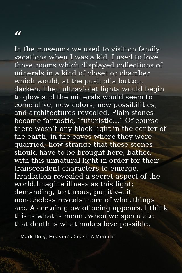 In the museums we used to visit on family vacations when I was a kid, I used to love those rooms which displayed collect — Mark Doty, Heaven's Coast: A Memoir