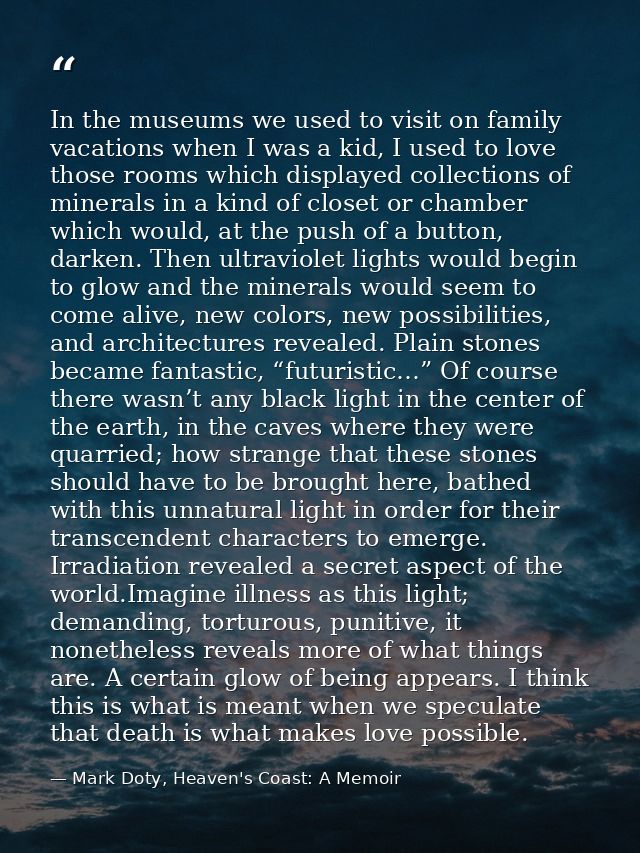In the museums we used to visit on family vacations when I was a kid, I used to love those rooms which displayed collect — Mark Doty, Heaven's Coast: A Memoir