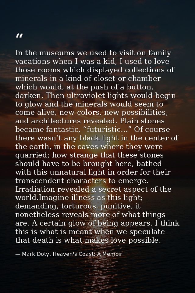 In the museums we used to visit on family vacations when I was a kid, I used to love those rooms which displayed collect — Mark Doty, Heaven's Coast: A Memoir