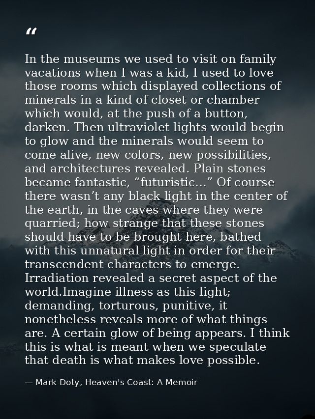 In the museums we used to visit on family vacations when I was a kid, I used to love those rooms which displayed collect — Mark Doty, Heaven's Coast: A Memoir
