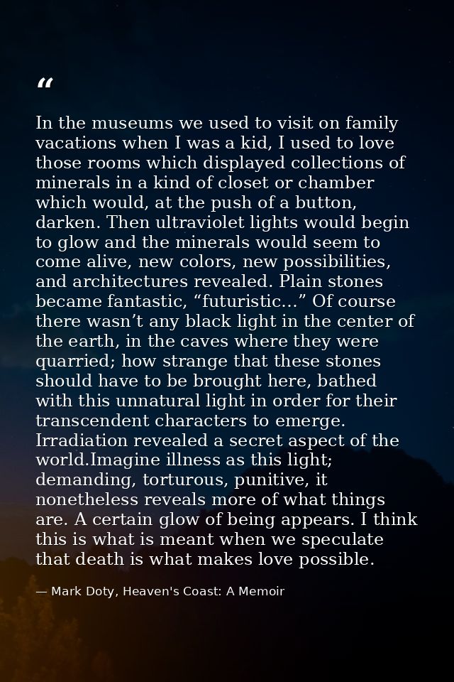 In the museums we used to visit on family vacations when I was a kid, I used to love those rooms which displayed collect — Mark Doty, Heaven's Coast: A Memoir