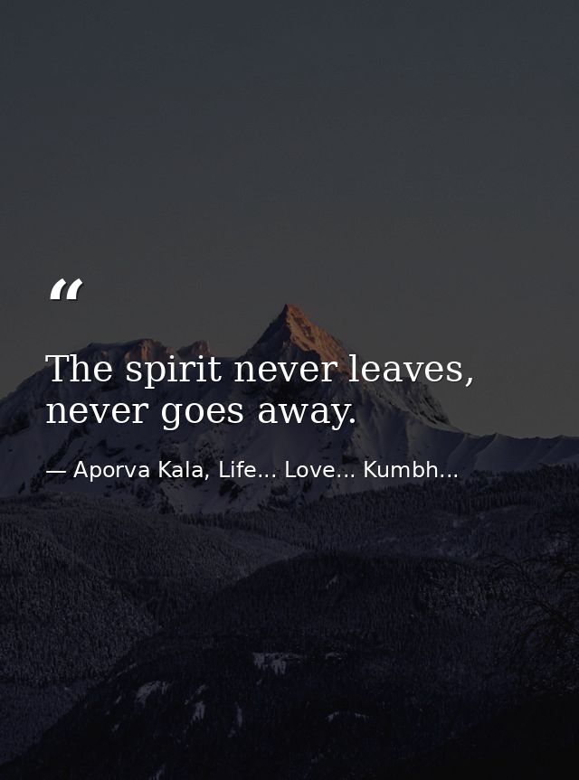 The spirit never leaves, never goes away. — Aporva Kala, Life... Love... Kumbh...