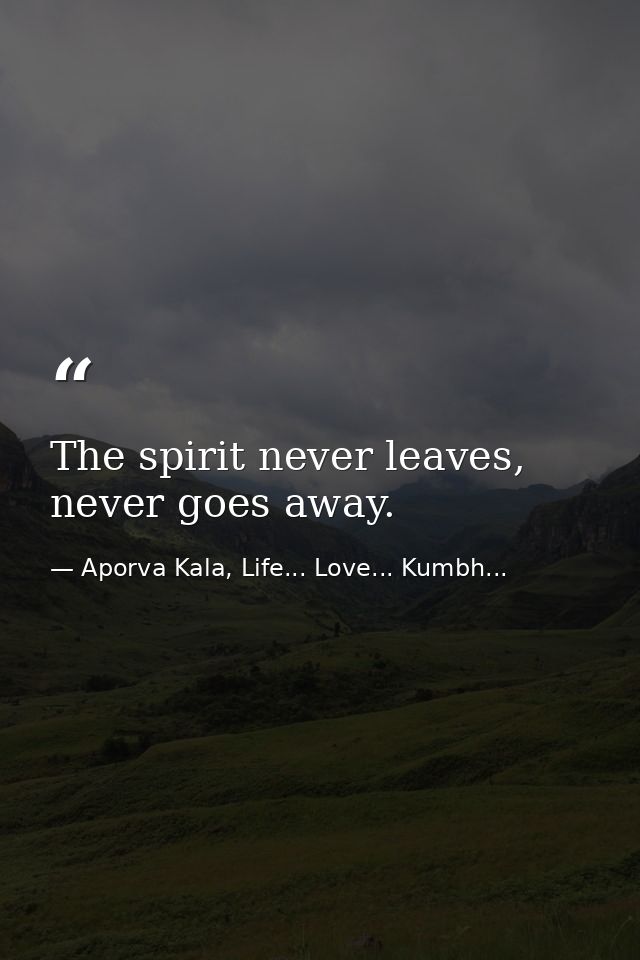 The spirit never leaves, never goes away. — Aporva Kala, Life... Love... Kumbh...