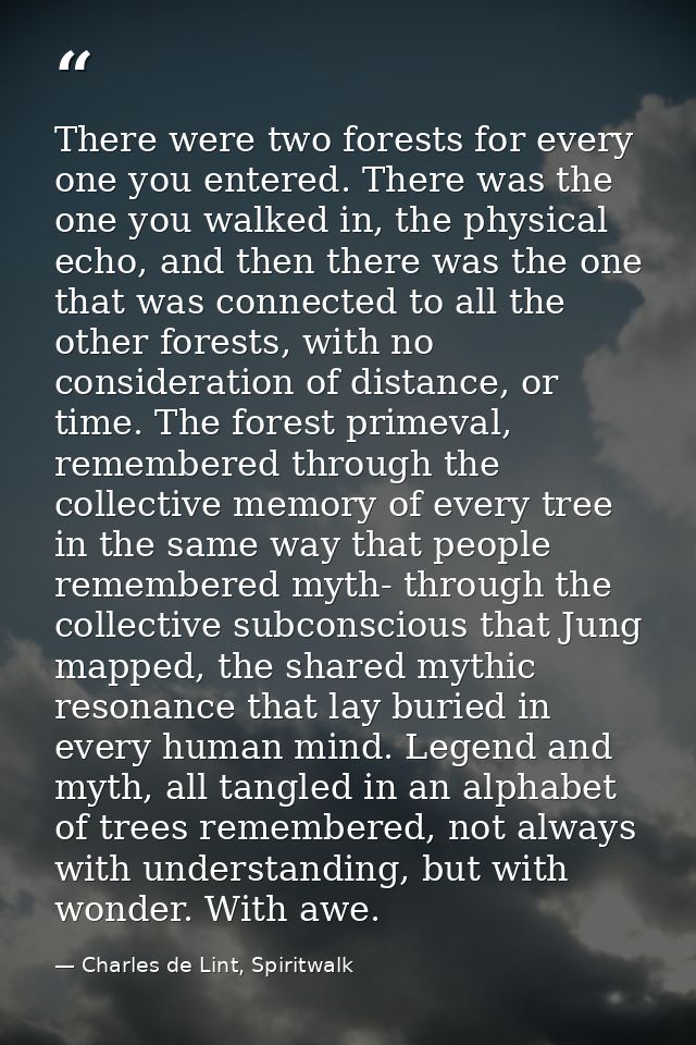 There were two forests for every one you entered. There was the one you walked in, the physical echo, and then there was — Charles de Lint, Spiritwalk