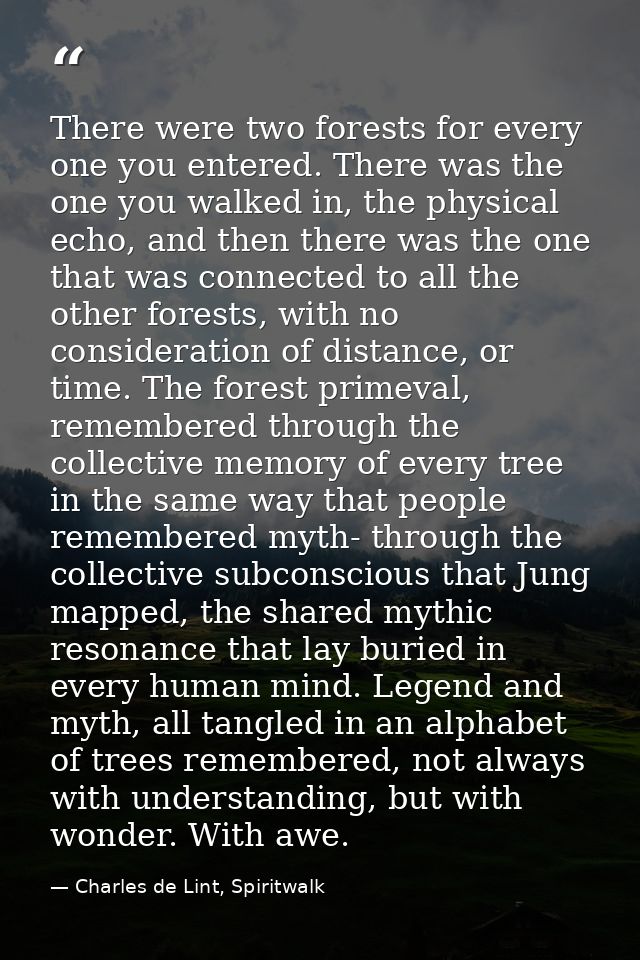 There were two forests for every one you entered. There was the one you walked in, the physical echo, and then there was — Charles de Lint, Spiritwalk