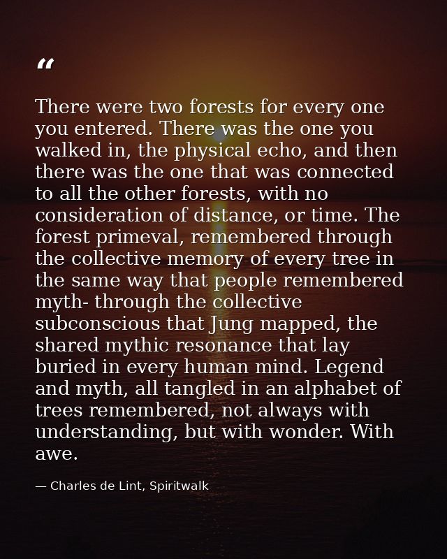 There were two forests for every one you entered. There was the one you walked in, the physical echo, and then there was — Charles de Lint, Spiritwalk