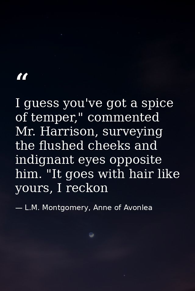 I guess you've got a spice of temper," commented Mr. Harrison, surveying the flushed cheeks and indignant eyes opposite  — L.M. Montgomery, Anne of Avonlea