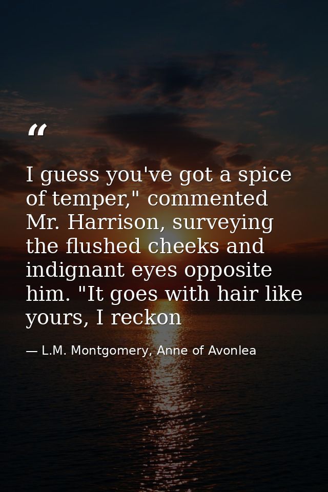 I guess you've got a spice of temper," commented Mr. Harrison, surveying the flushed cheeks and indignant eyes opposite  — L.M. Montgomery, Anne of Avonlea