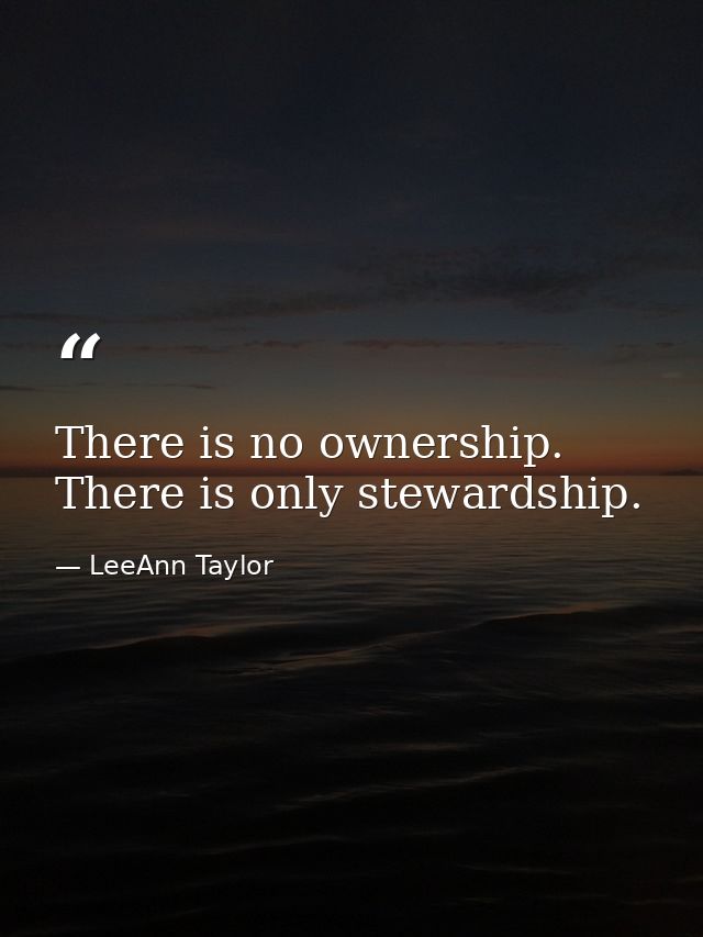 There is no ownership. There is only stewardship. — LeeAnn Taylor