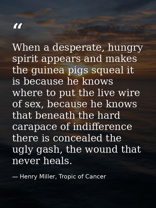 When a desperate, hungry spirit appears and makes the guinea pigs squeal it is because he knows where to put the live wi — Henry Miller, Tropic of Cancer