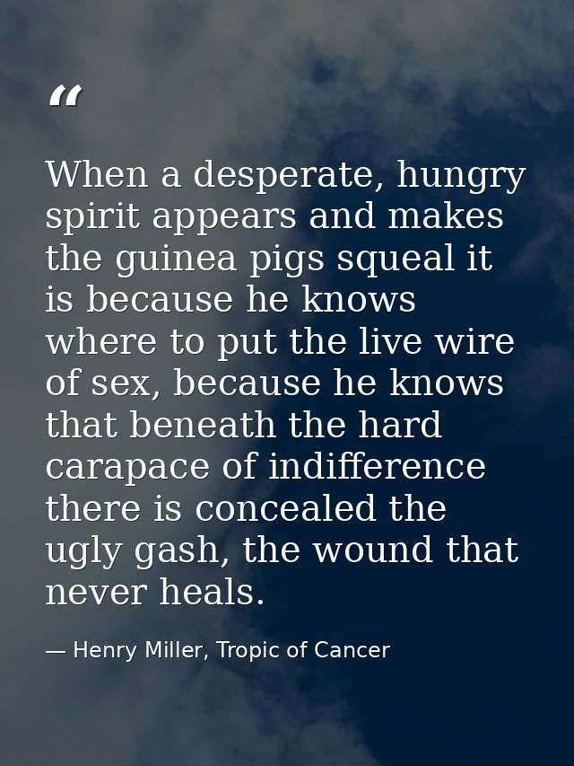When a desperate, hungry spirit appears and makes the guinea pigs squeal it is because he knows where to put the live wi — Henry Miller, Tropic of Cancer