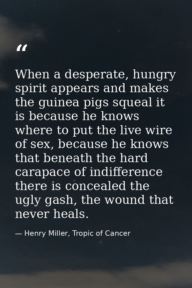 When a desperate, hungry spirit appears and makes the guinea pigs squeal it is because he knows where to put the live wi — Henry Miller, Tropic of Cancer