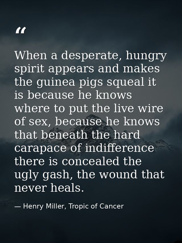 When a desperate, hungry spirit appears and makes the guinea pigs squeal it is because he knows where to put the live wi — Henry Miller, Tropic of Cancer