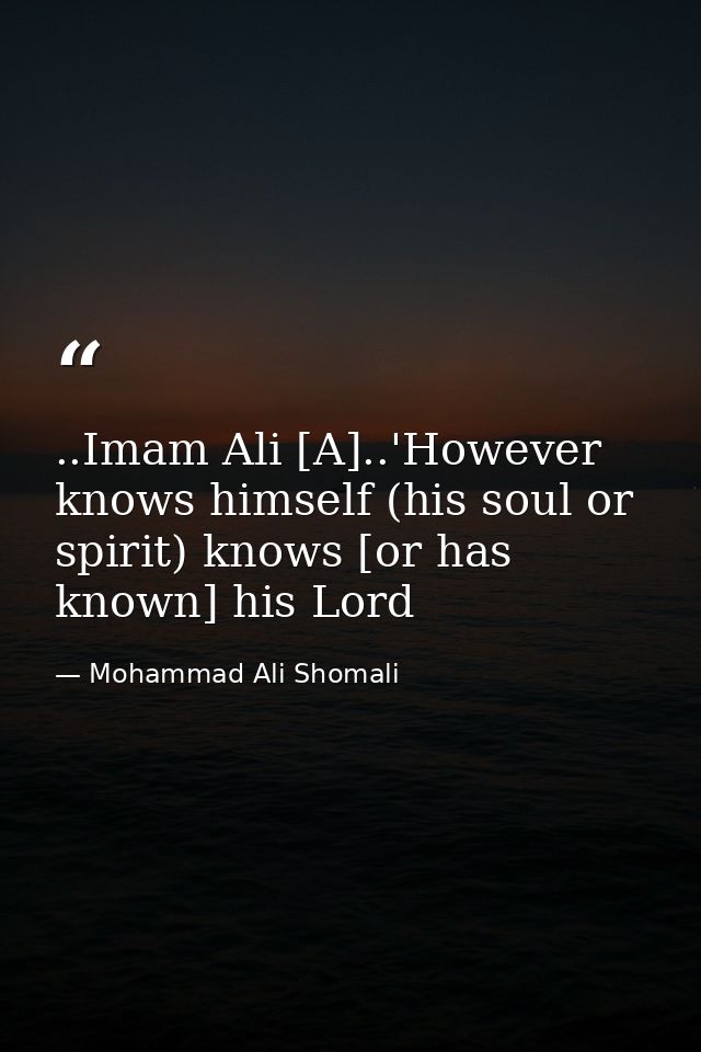 ..Imam Ali [A]..'However knows himself (his soul or spirit) knows [or has known] his Lord — Mohammad Ali Shomali