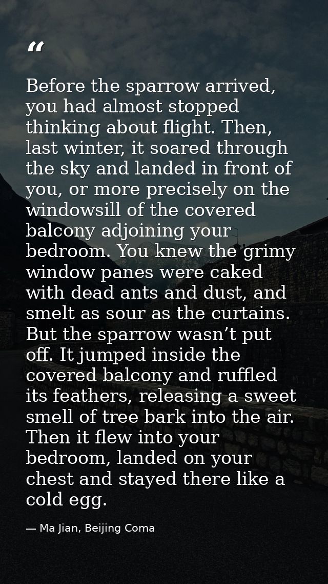 Before the sparrow arrived, you had almost stopped thinking about flight. Then, last winter, it soared through the sky a — Ma Jian, Beijing Coma