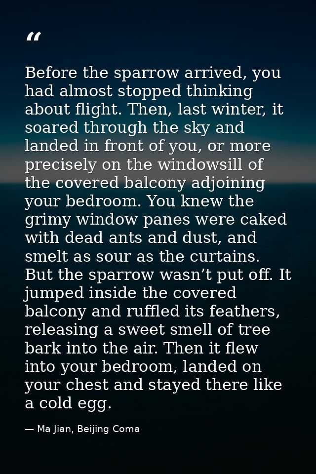Before the sparrow arrived, you had almost stopped thinking about flight. Then, last winter, it soared through the sky a — Ma Jian, Beijing Coma