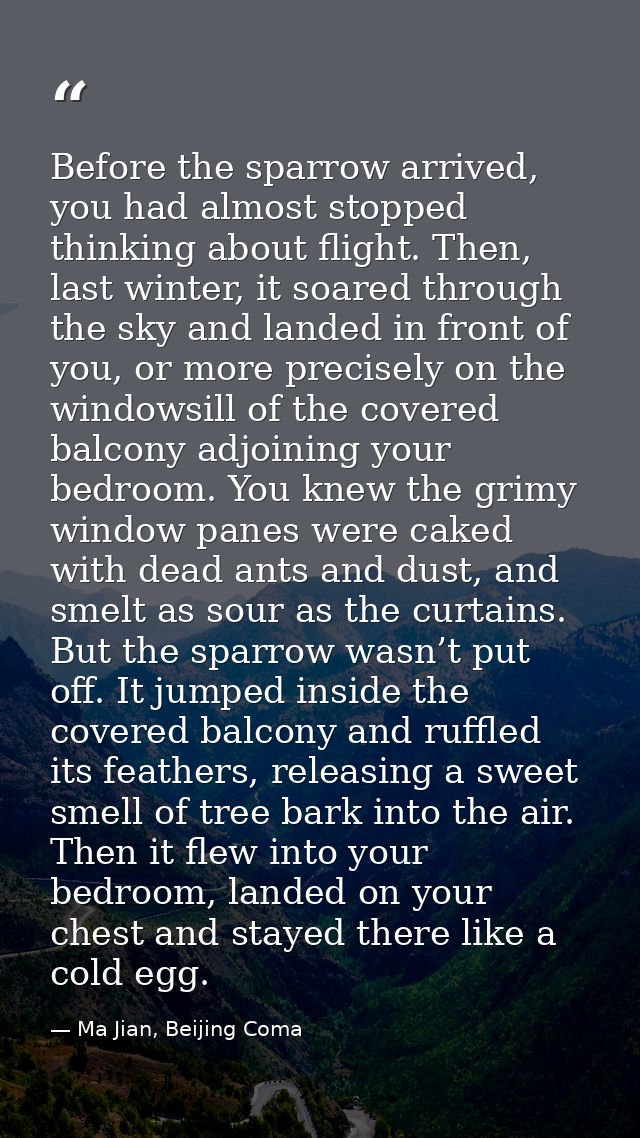 Before the sparrow arrived, you had almost stopped thinking about flight. Then, last winter, it soared through the sky a — Ma Jian, Beijing Coma