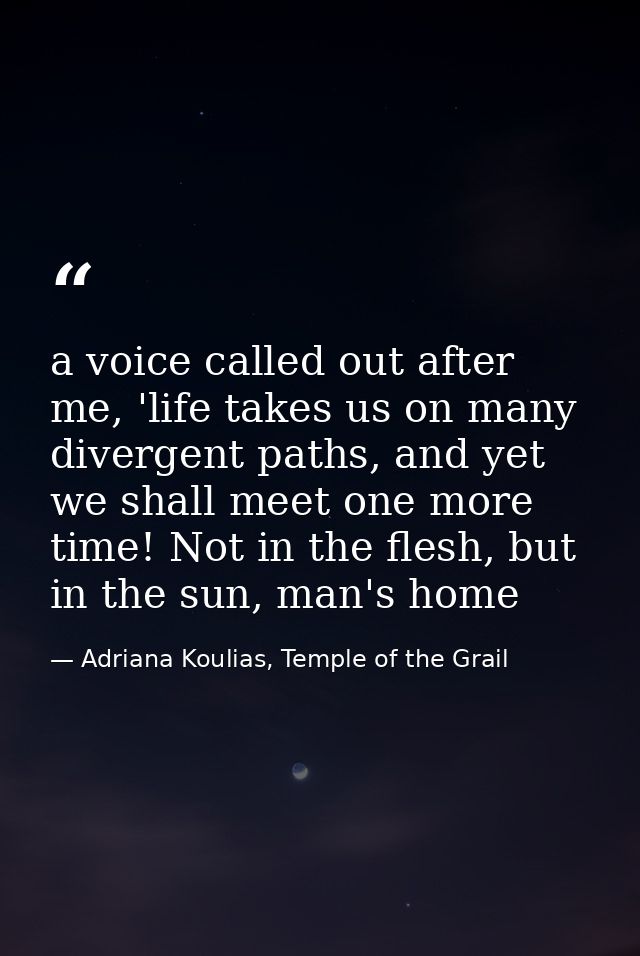 a voice called out after me, 'life takes us on many divergent paths, and yet we shall meet one more time! Not in the fle — Adriana Koulias, Temple of the Grail