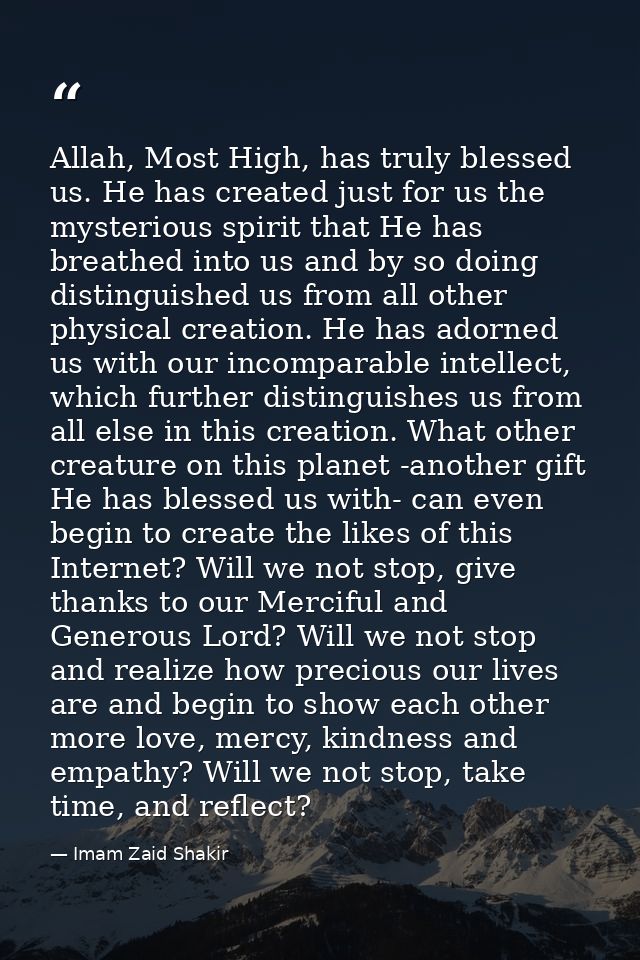 Allah, Most High, has truly blessed us. He has created just for us the mysterious spirit that He has breathed into us an — Imam Zaid Shakir